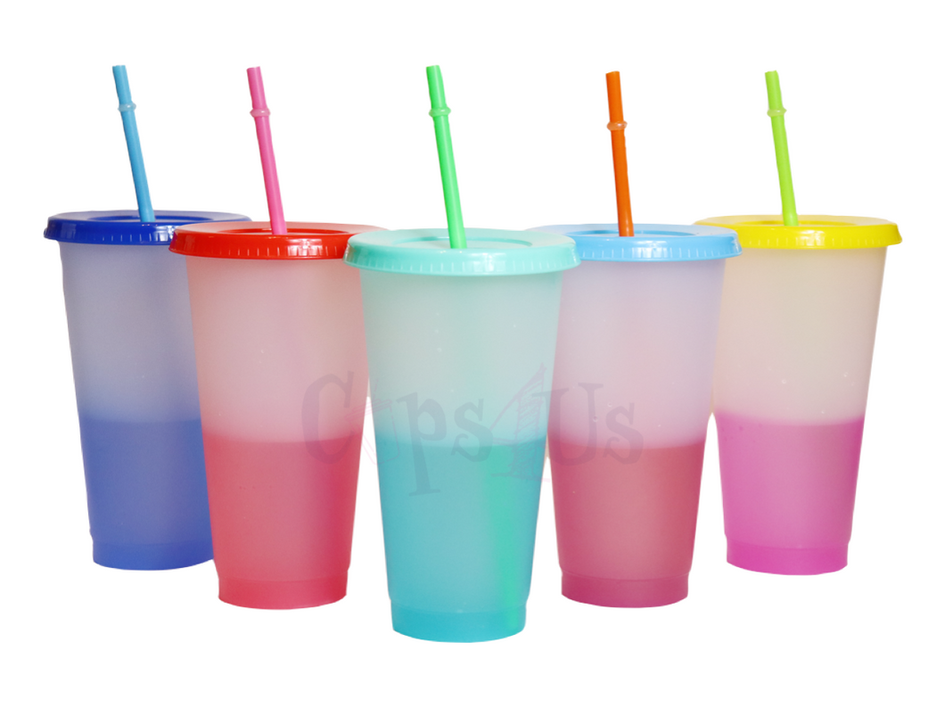 Frosted Color Changing Cup 24oz